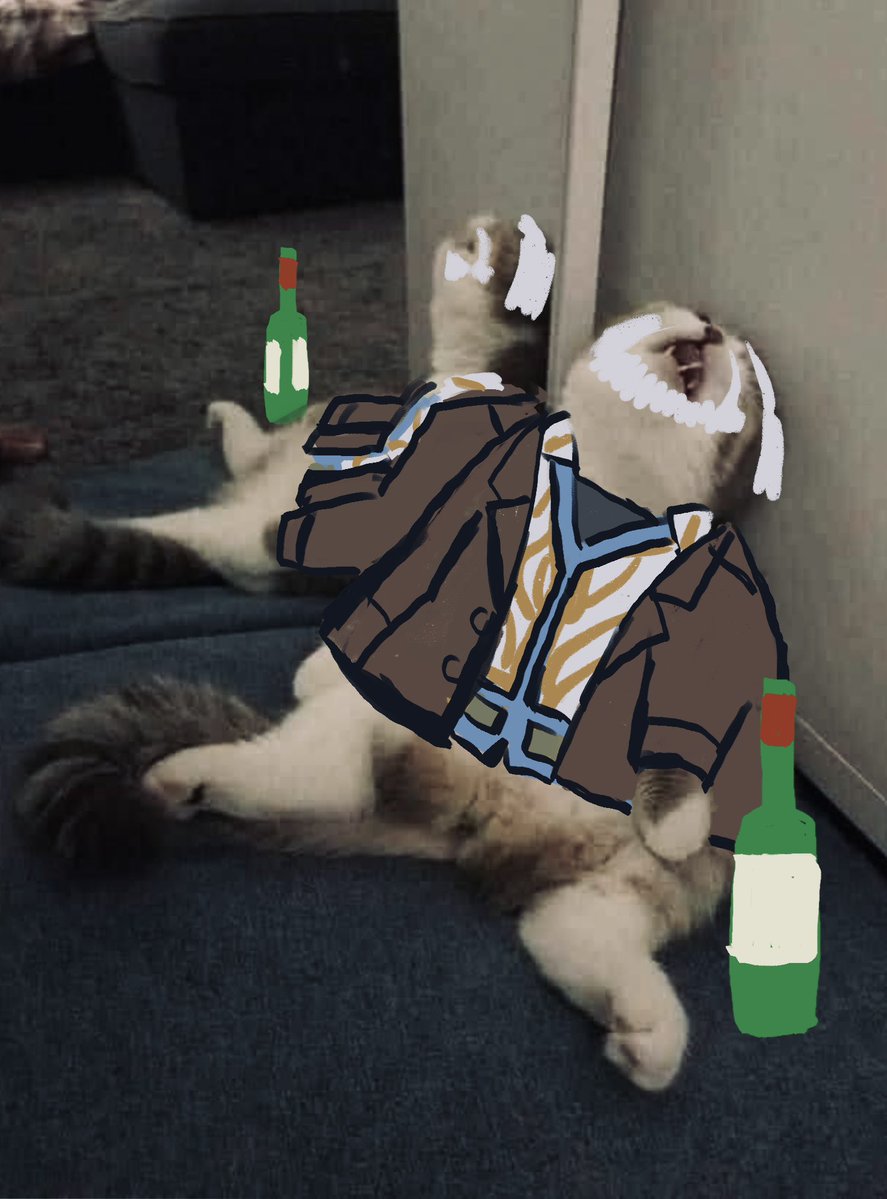 小魯シャル 🦝 tweet media