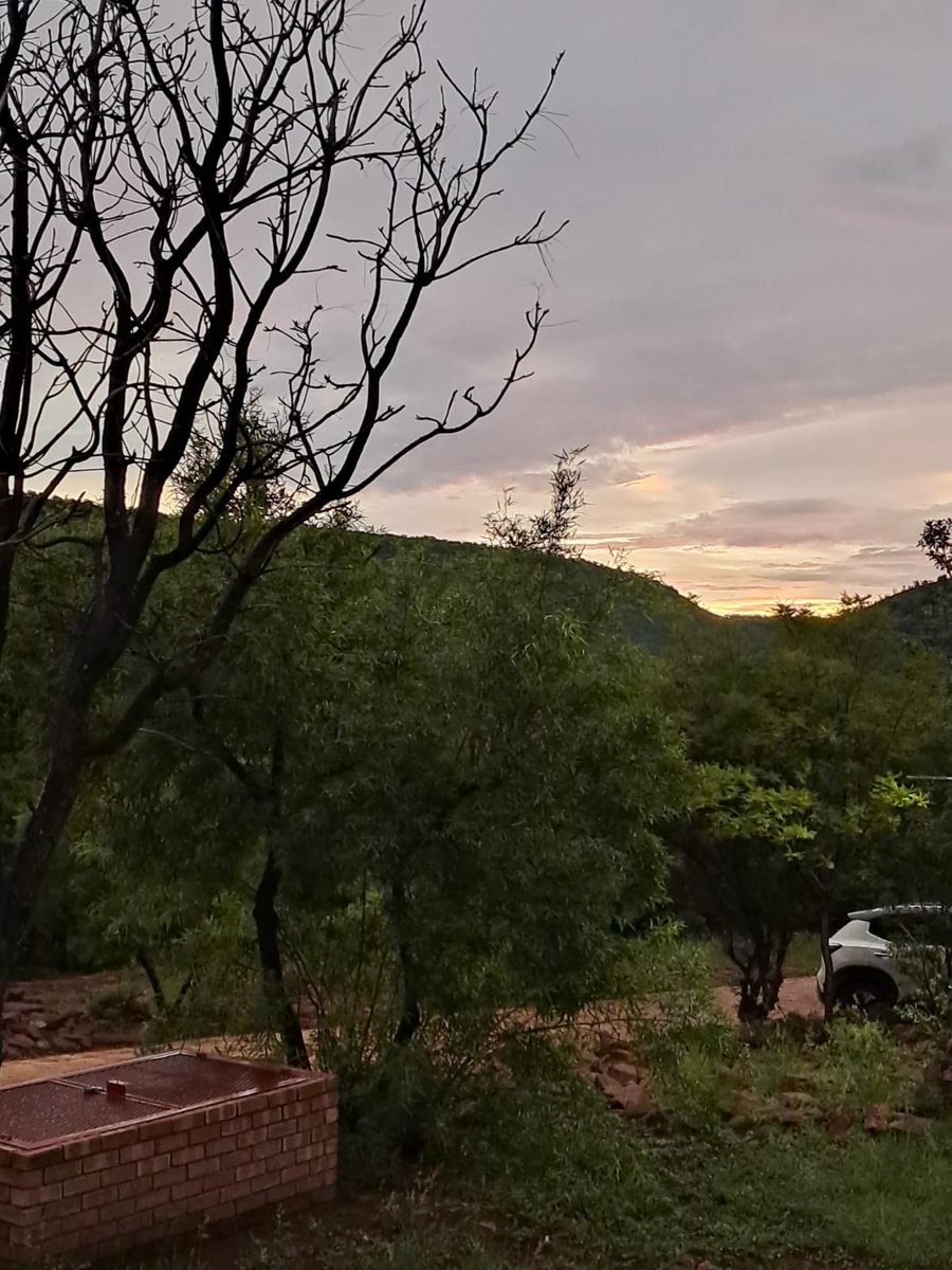 Marius Purcell tweet media