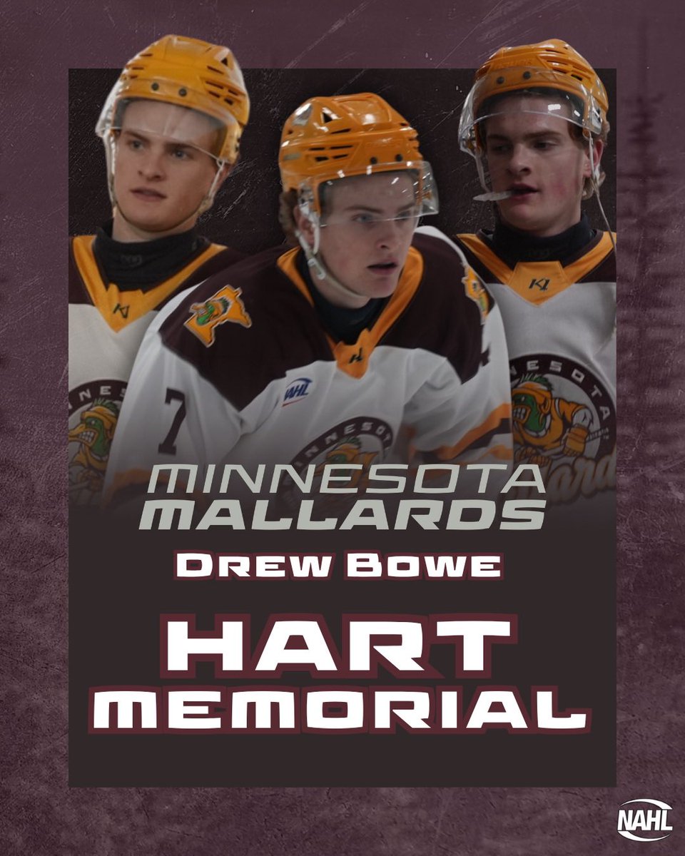 Minnesota Mallards tweet media