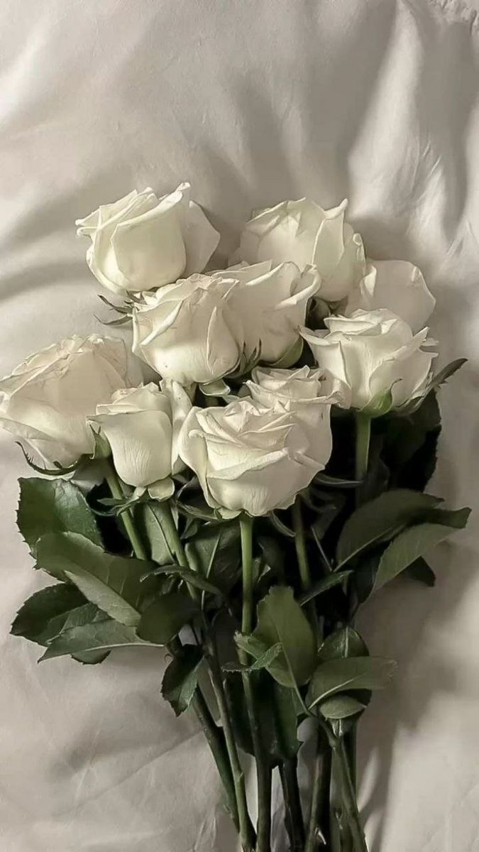 { خواطر قلب} tweet media