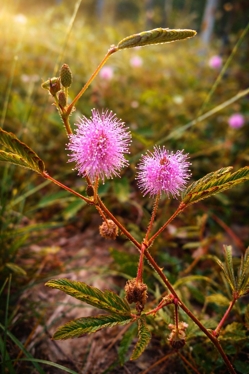 Pink Panther_zzZZ🫦 tweet media