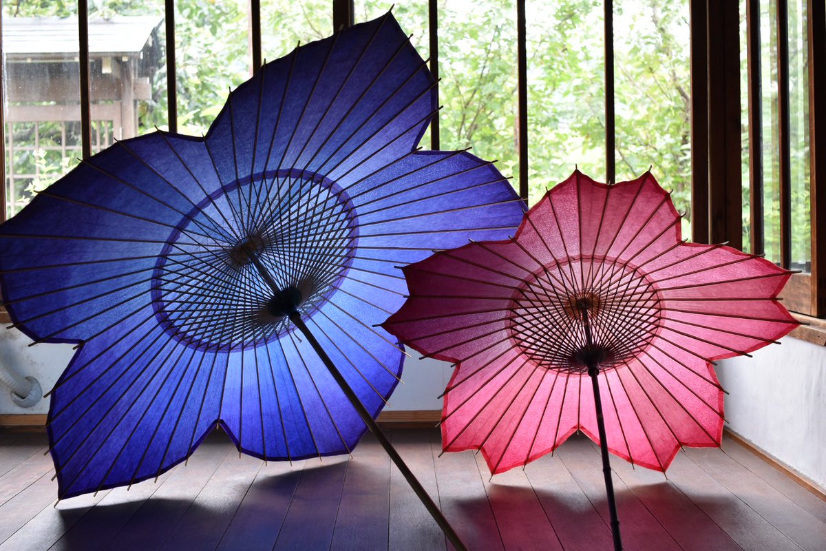 仐日和 (岐阜和傘) tweet media