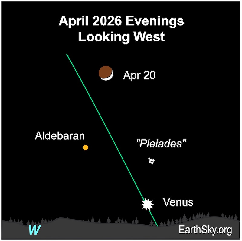 narottamsahoo's tweet image. A celestial symphony awaits in the western sky!

Between 18–20 April 2026, a delicate waxing crescent #Moon will grace the brilliance of #Venus, with the enchanting #Pleiades cluster joining them in #Taurus,  an awe-inspiring reminder of the #universe’s harmony.

Through the