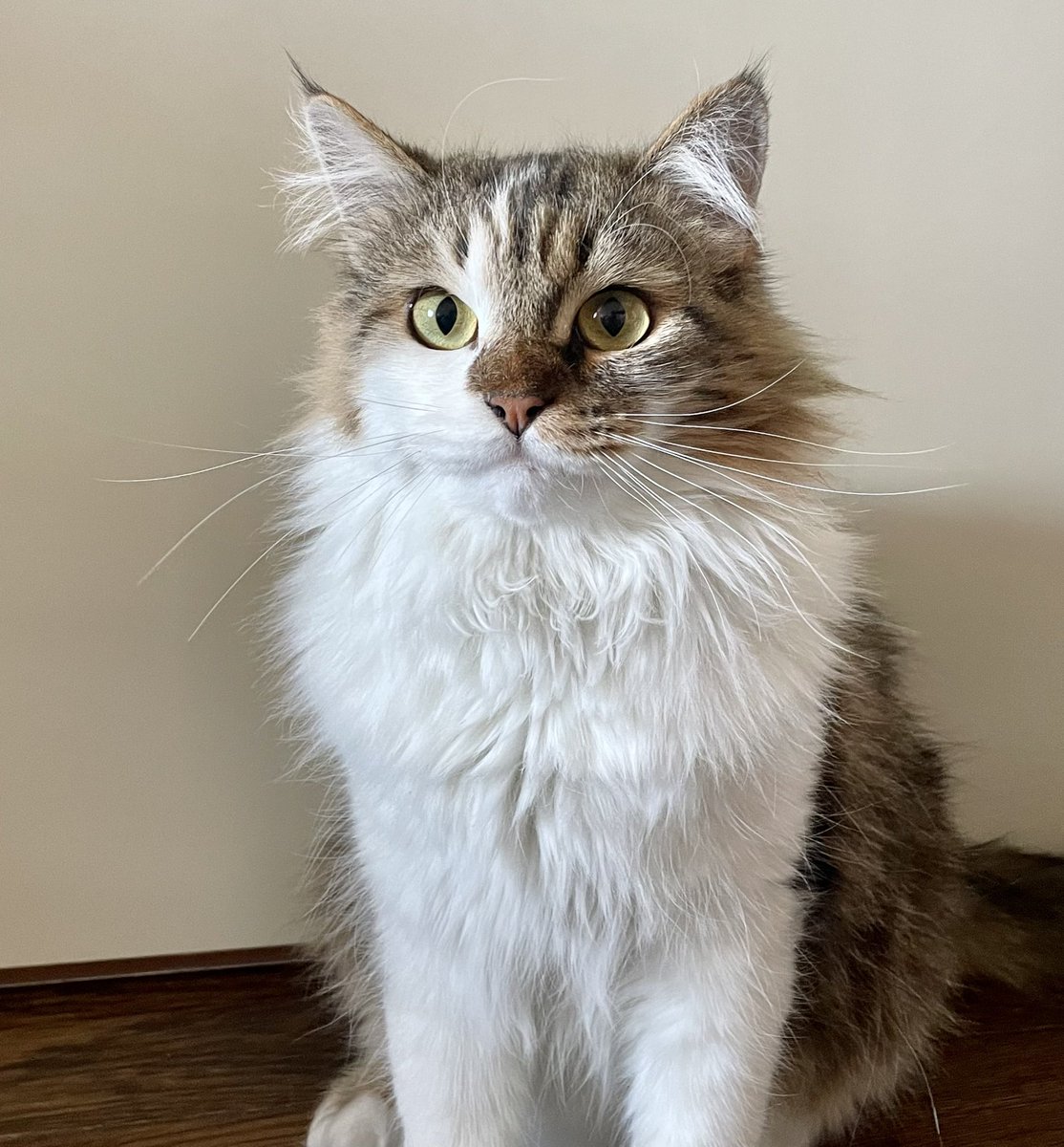 Light Fighter ❤️‍🔥 tweet media