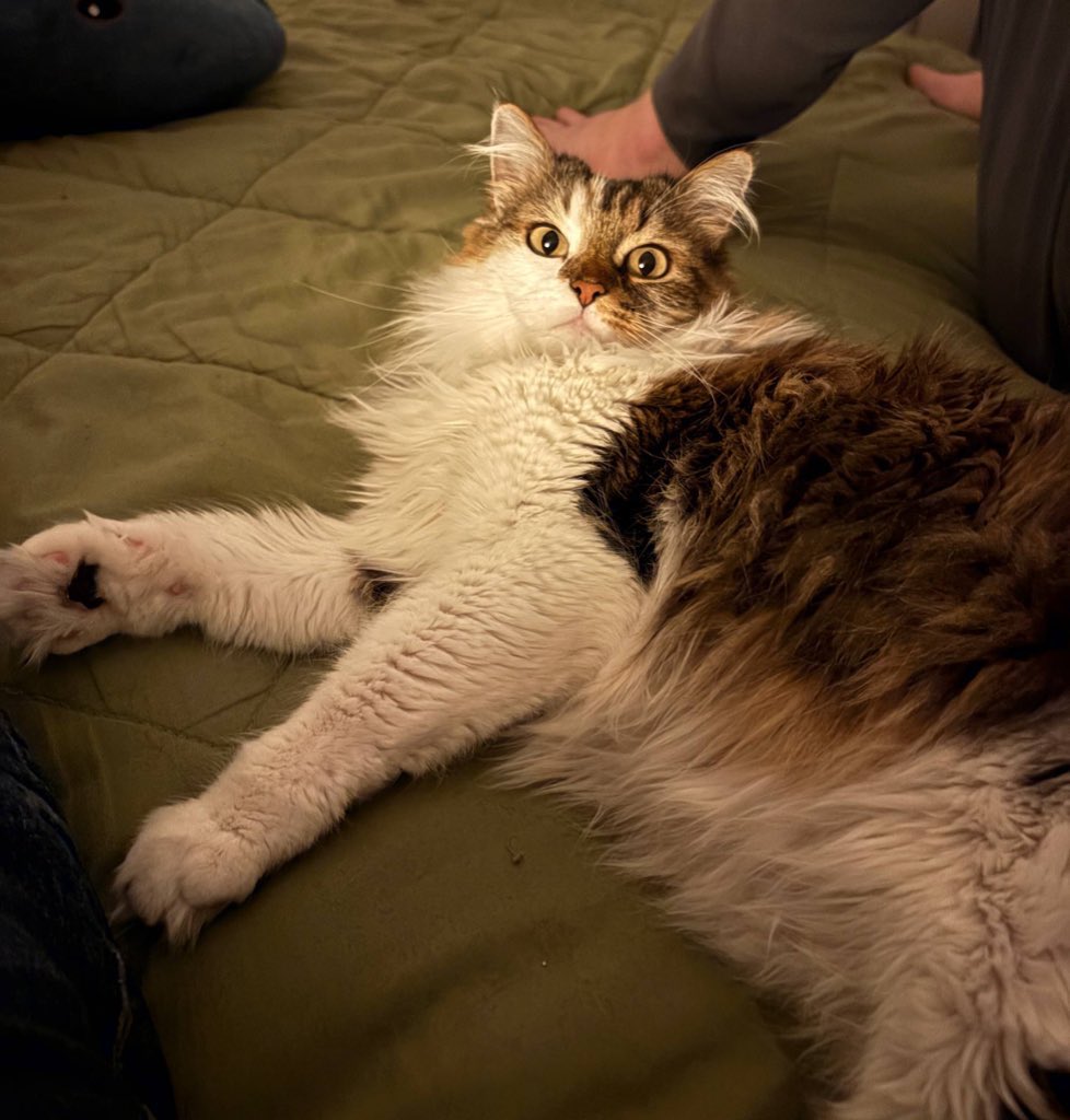 Light Fighter ❤️‍🔥 tweet media