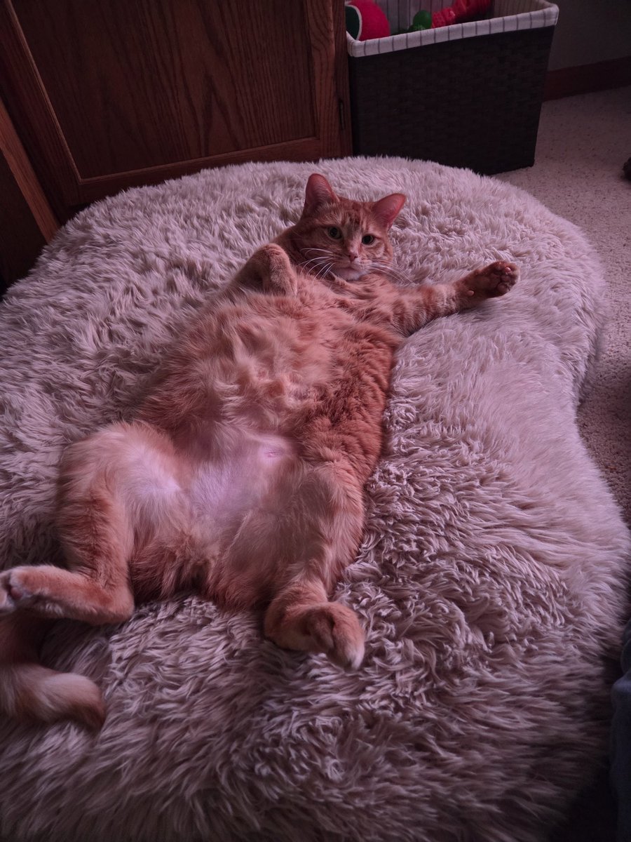 SavageInviteDeadPool tweet media