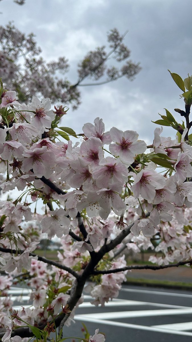 ぼっち tweet media