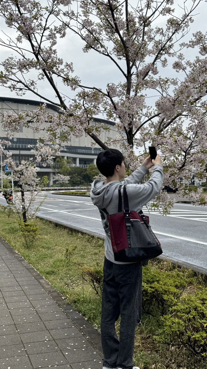 ぼっち tweet media