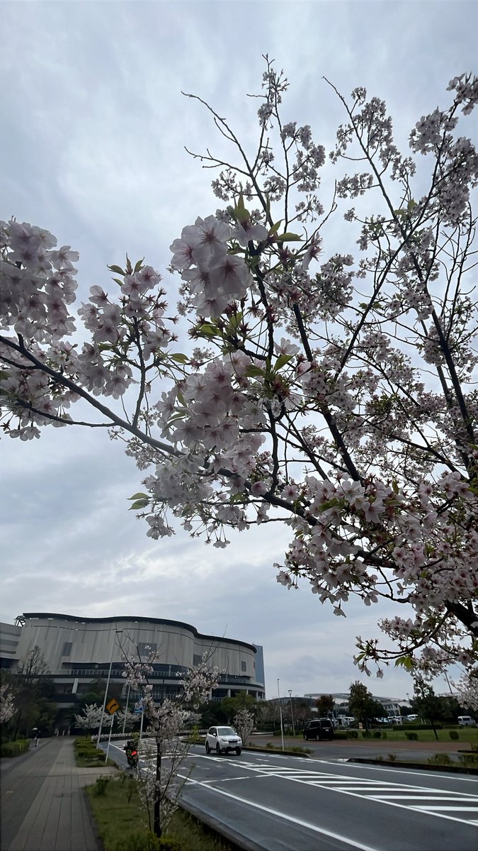 ぼっち tweet media