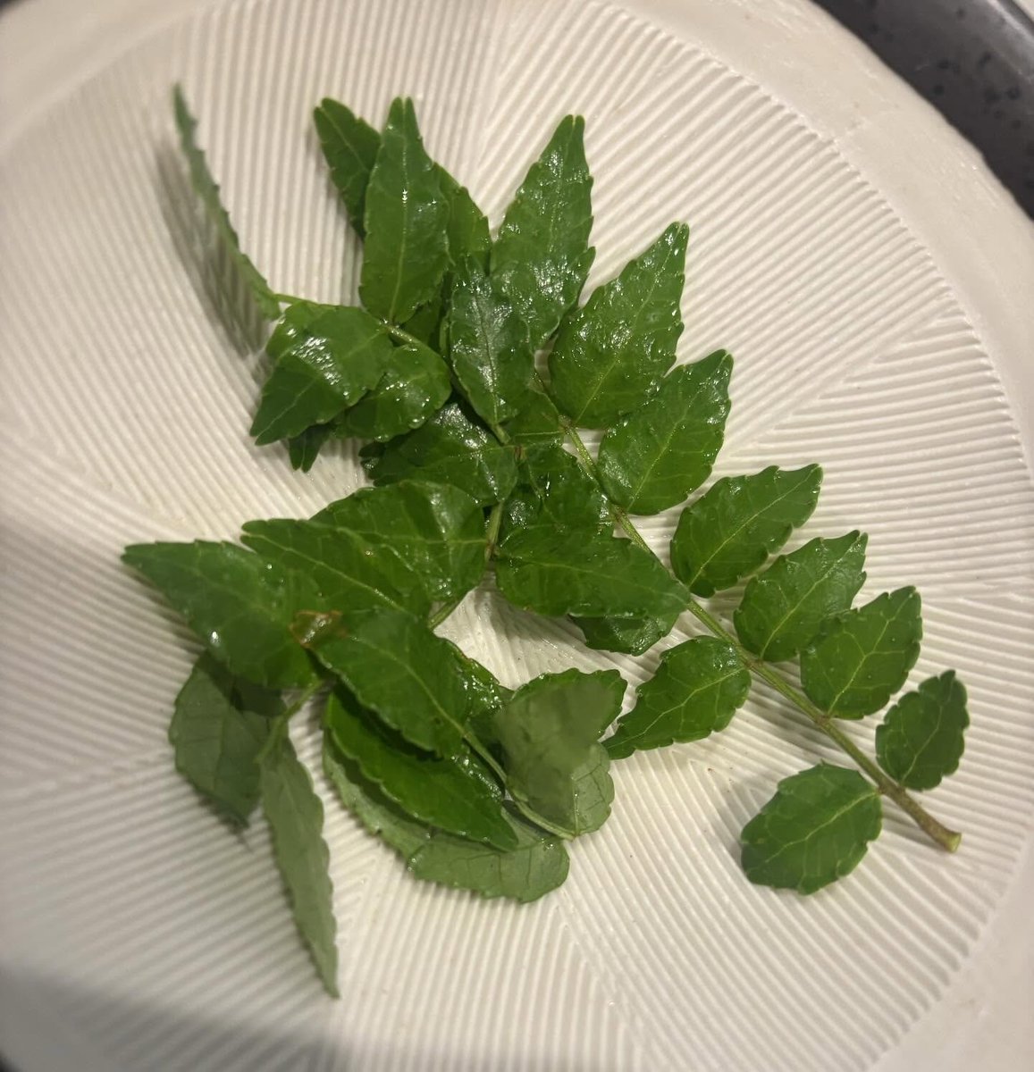 すぅ。 tweet media