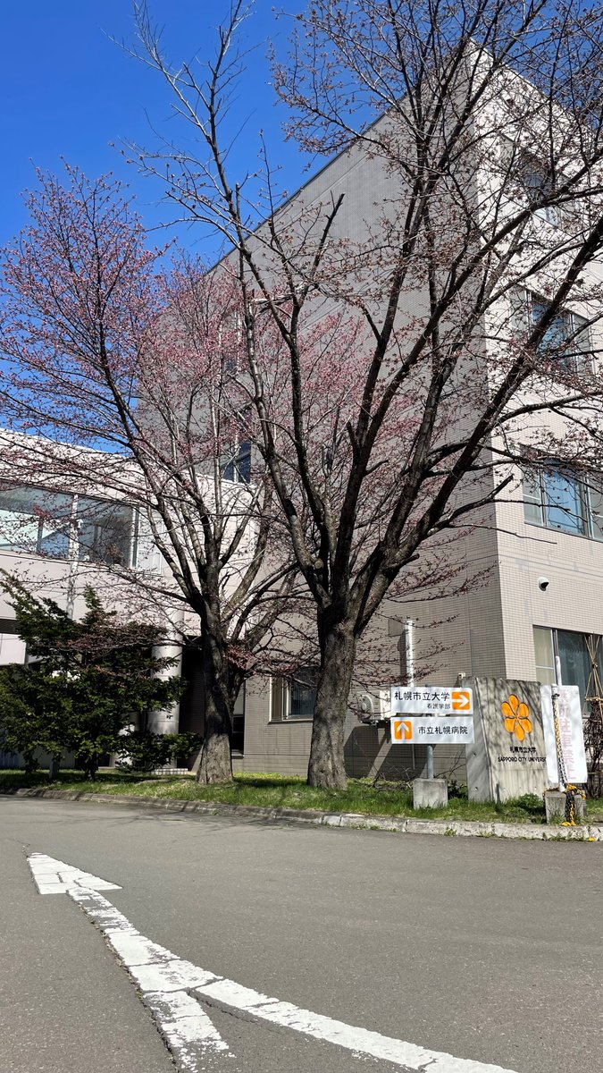 札幌市立大学 tweet media