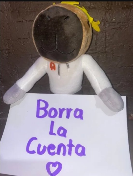 Manuel CQ tweet media