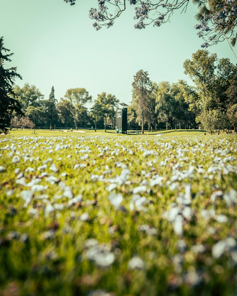 LIV Golf tweet media