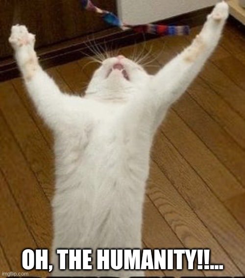 Steven R. Fields tweet media