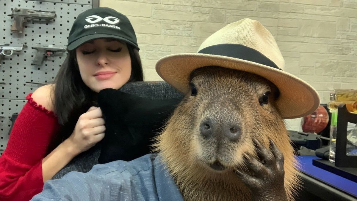 D-Day McLean 🤘🏻 tweet media