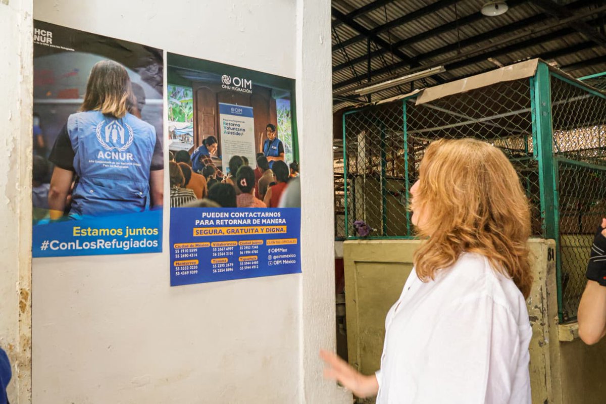 ONU México tweet media