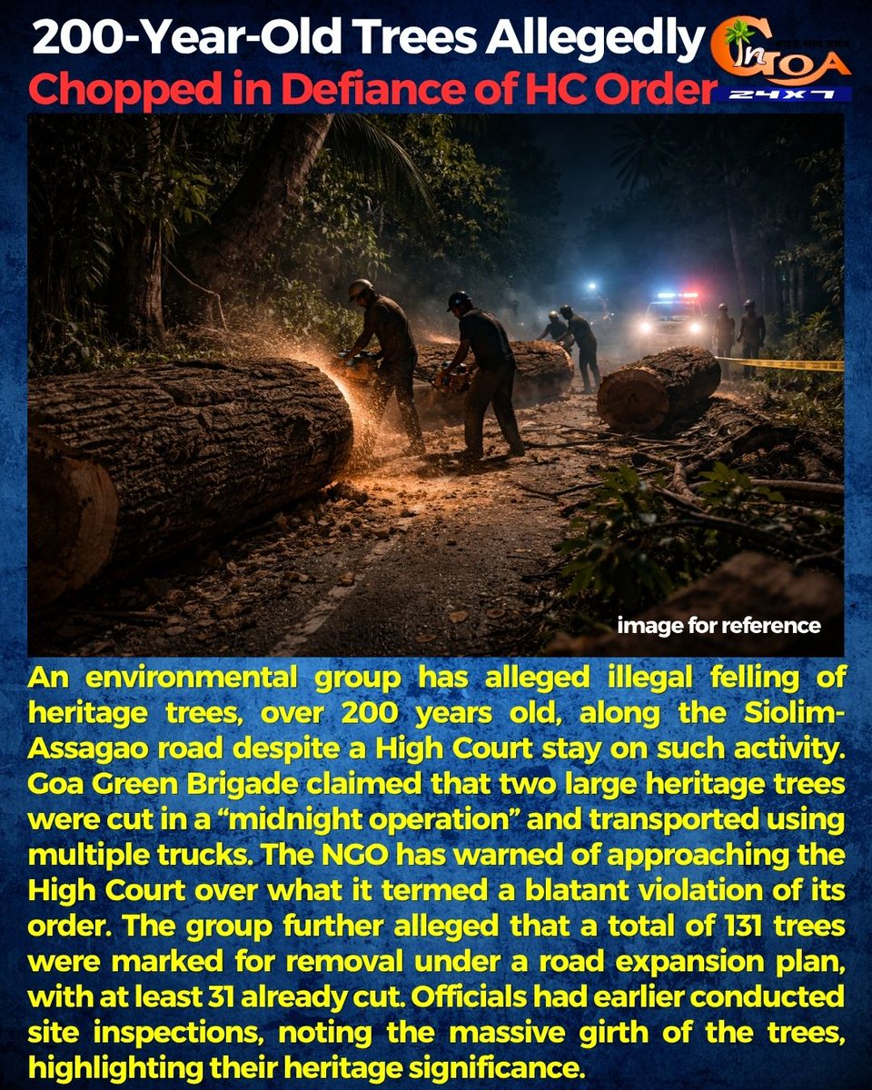 InGoa24x7's tweet image. 200-Year-Old Trees Allegedly Chopped in Defiance of HC Order
.
.
#Goa #GoaNews #Highcourt #Tree #TreeCut #Assagao #Siolim