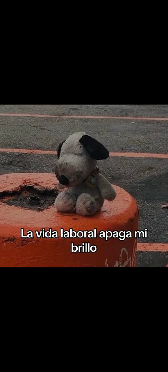 Este Snoopy Godín me representa xD