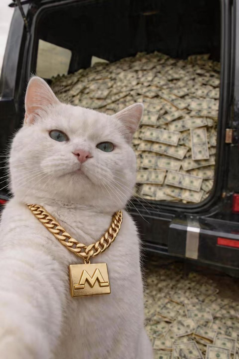 MGBX_Global tweet media