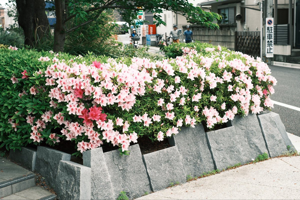 林田 祐和🎷 tweet media