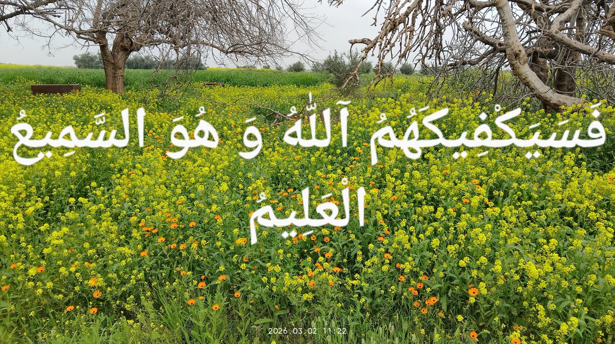 Madiha Zakaria tweet media