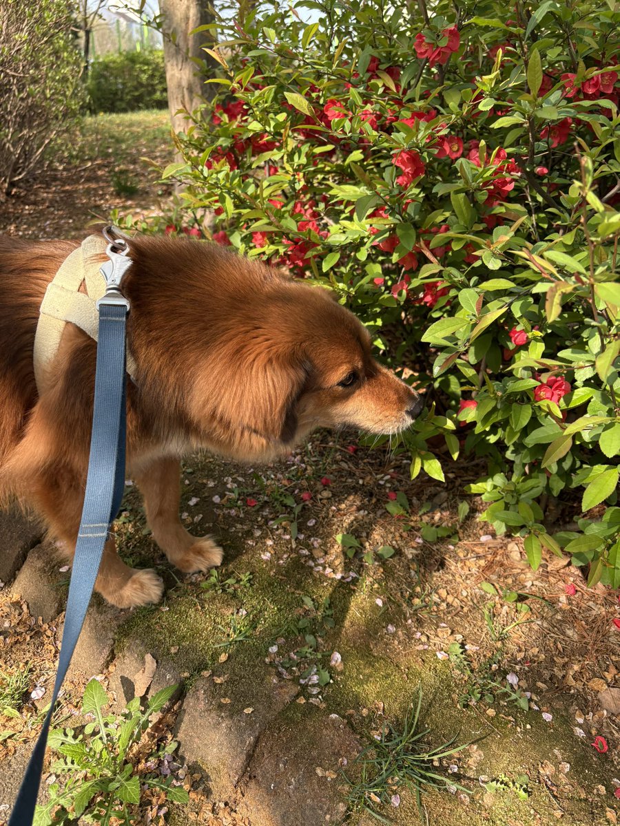 마진오 tweet media