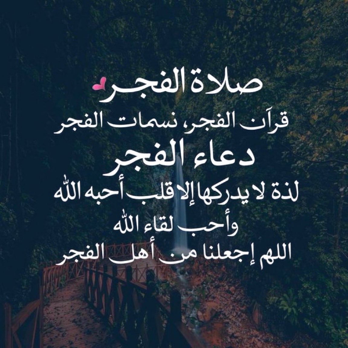 حصه الواصل tweet media