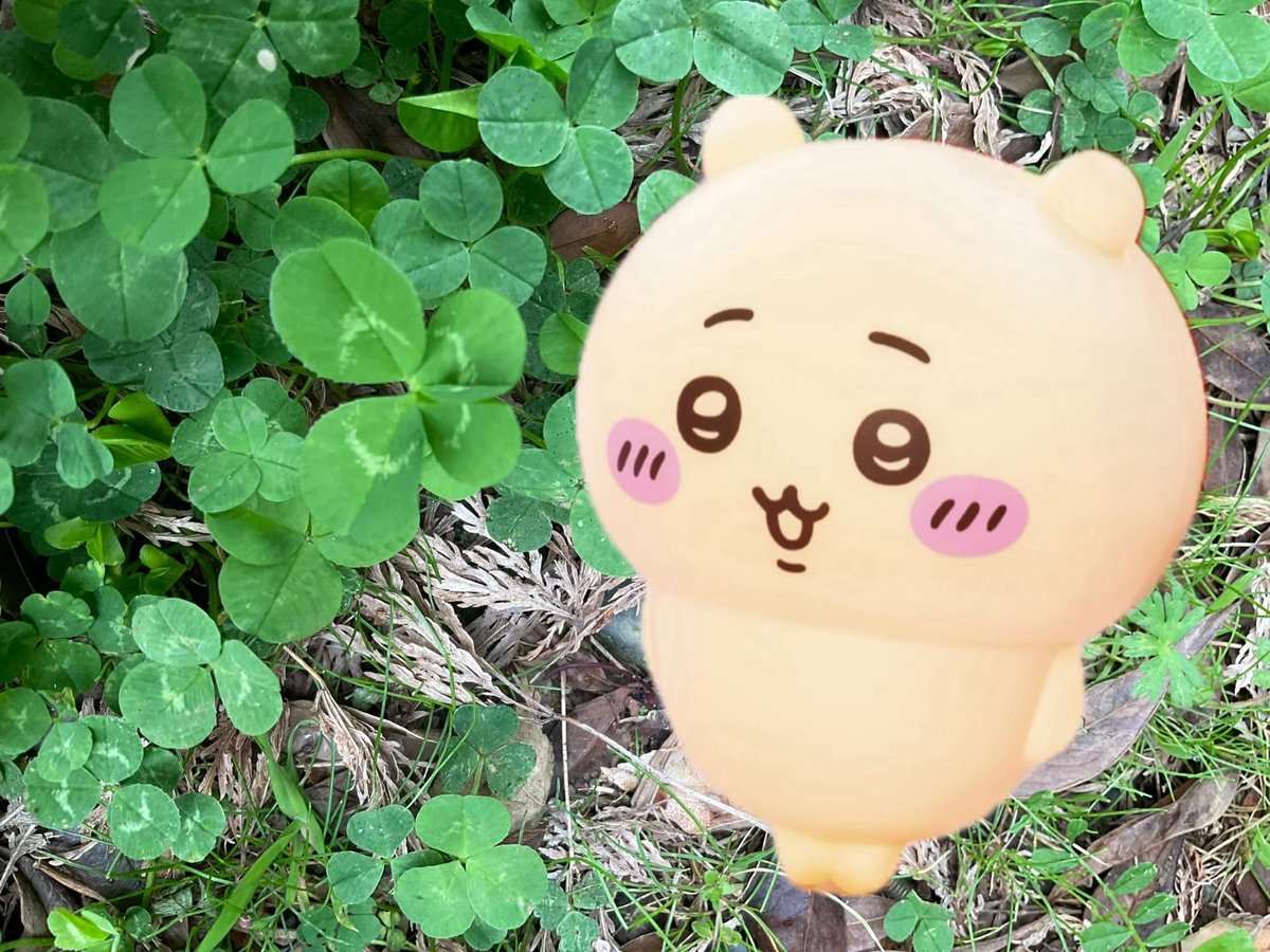 しるこサンド tweet media