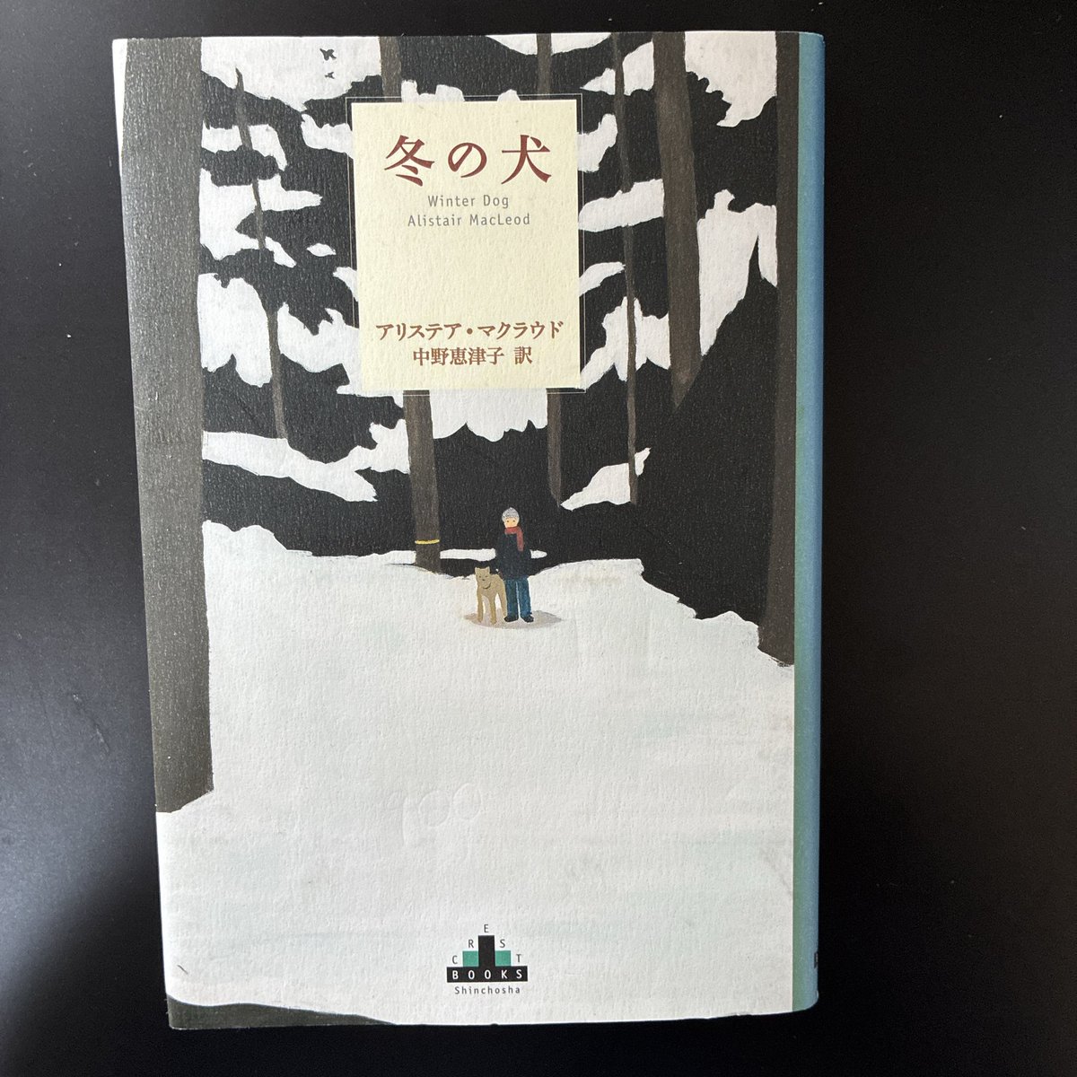 ofthemoon25's tweet photo. 大好きな #犬の物語 3冊、
出品準備中です。 https://t.co/VxXAWgU9Ze