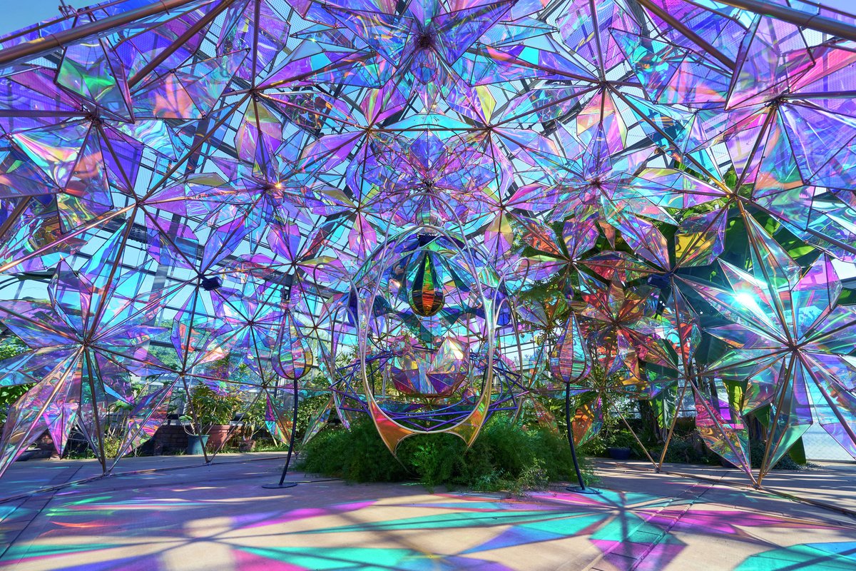 レッツエンジョイ東京 tweet media