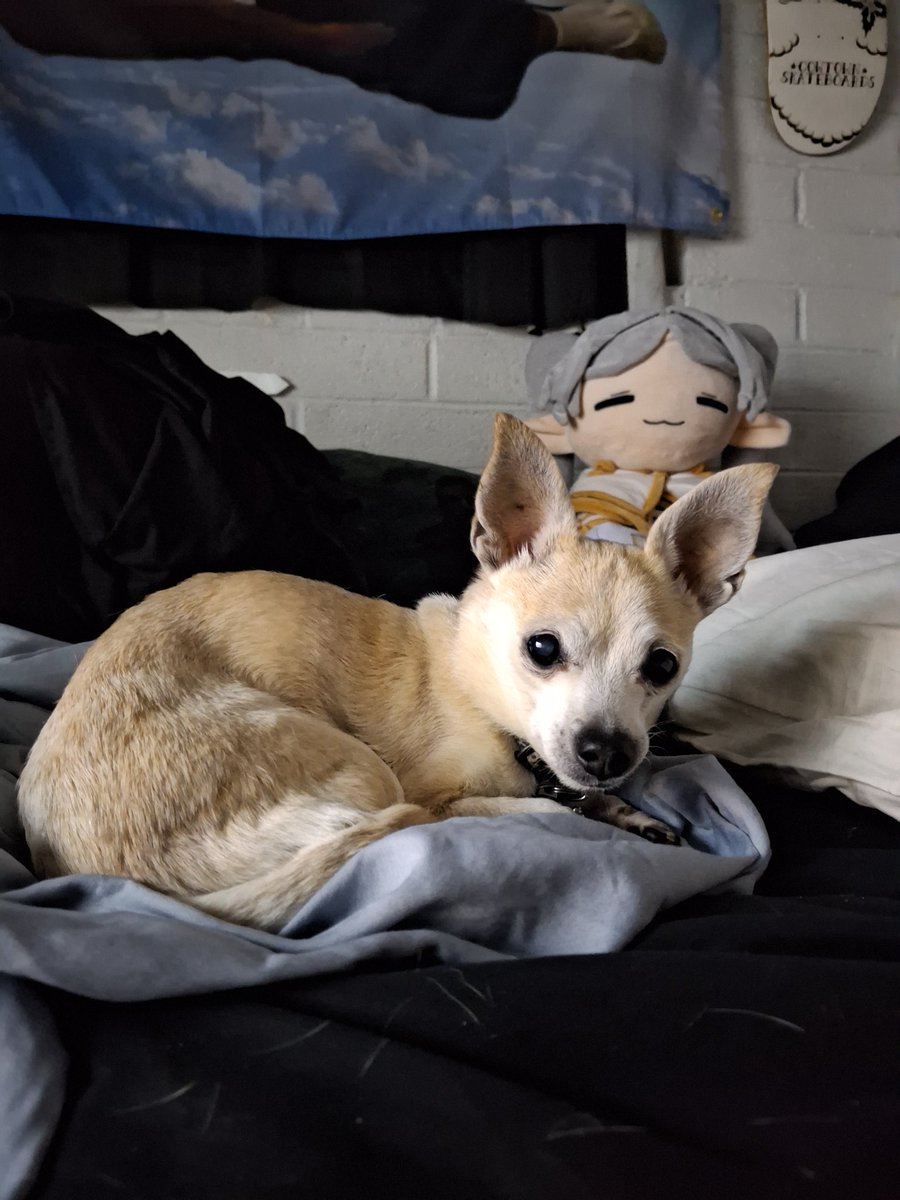 ✝️Skylar✝️ tweet media