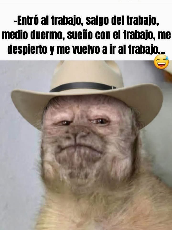 😂😂😂🤦‍♀️