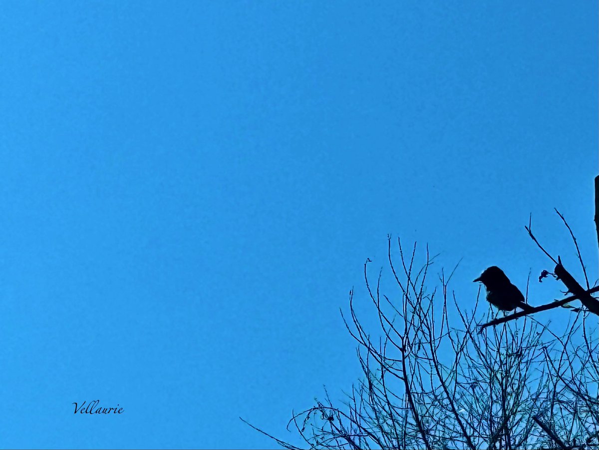 VijayEllaurie's tweet photo. Post a photo you snapped that you've never posted on this platform before.
Can be anything! #NeverBefore
#TuesdayBlue #tranquilTuesday https://t.co/AxNj4rGJTf