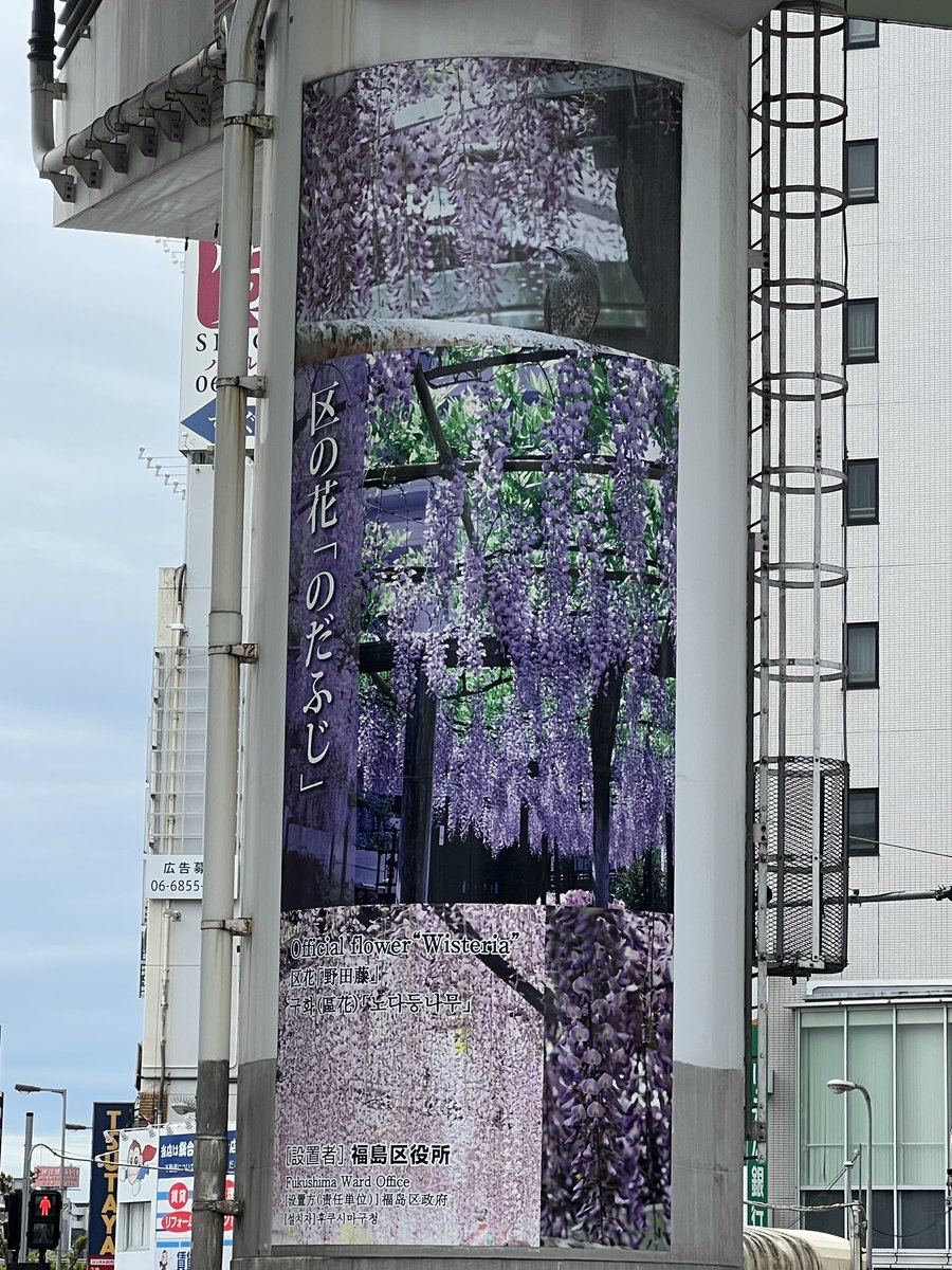 ブサiku☺︎大衆演劇 tweet media