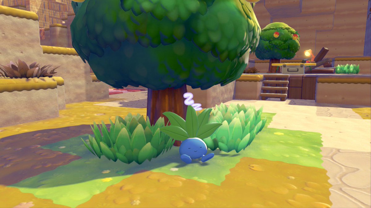 カエデ tweet media