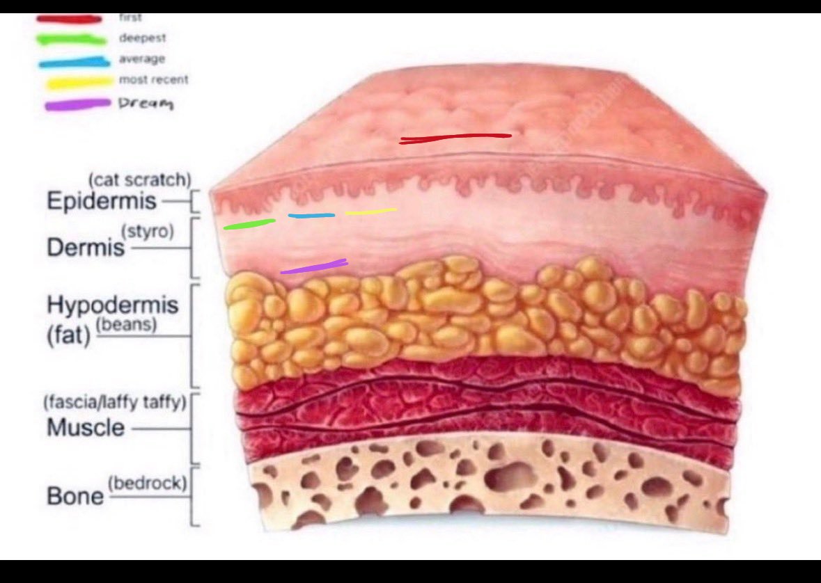 shark of shedtwt 🦈🔪🩸 (CREEPS DNI!) tweet media