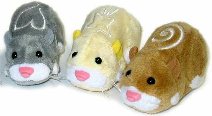 emy for enhypen tweet media