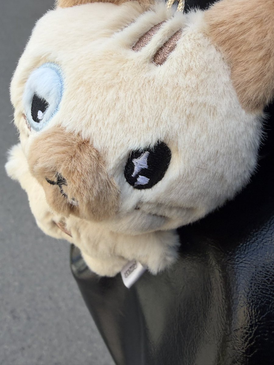 호엥 오늘부터 꾸냥이한테 내 일상을 공유할게여ㅕ 저녁엔 옷 사주기로 약속함