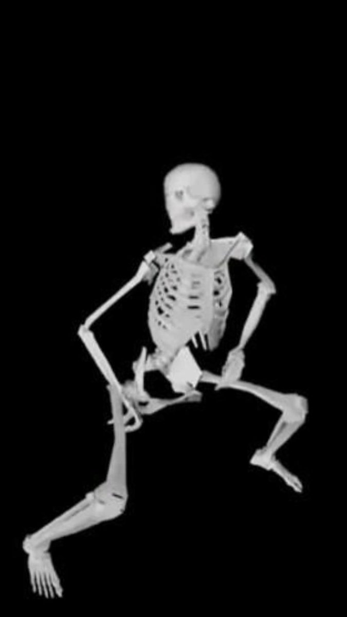 Jay 🦕 tweet media