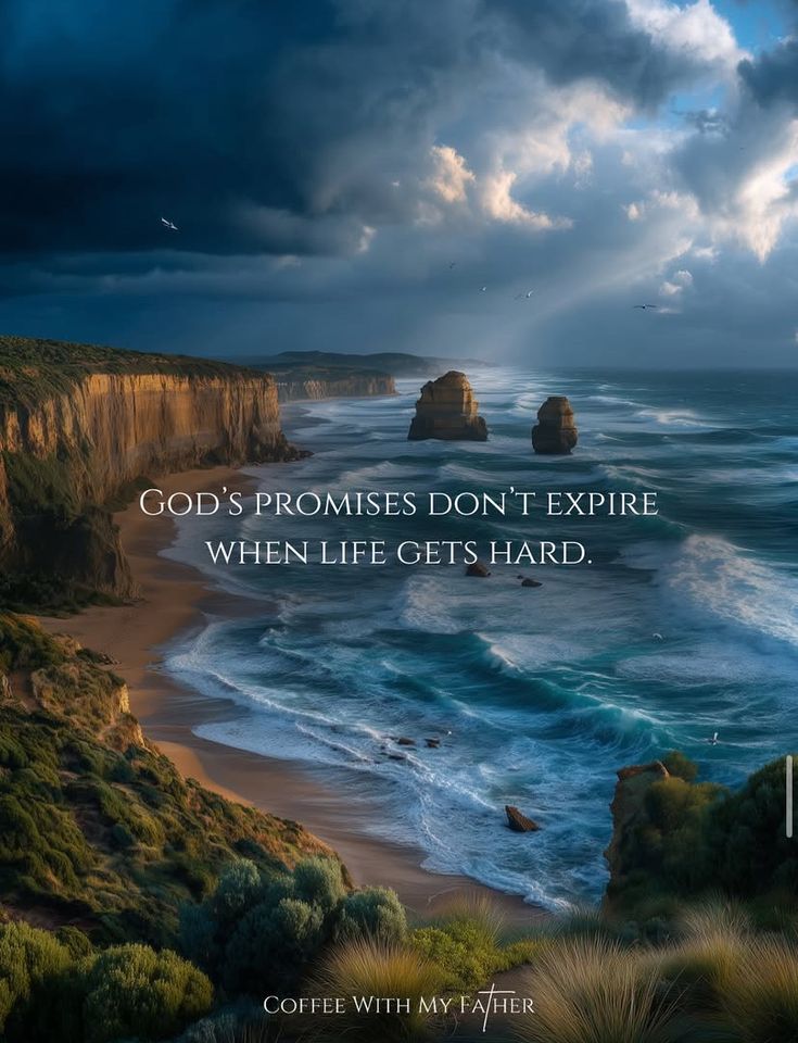 Kristy Williams tweet media