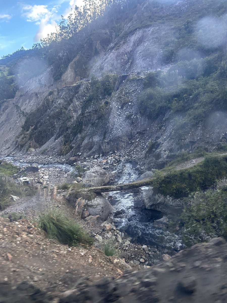 Olin ❤️🔥 tweet media