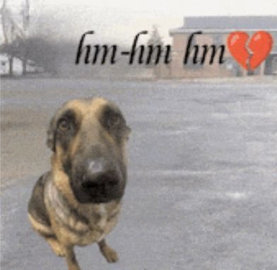 natoca 🌈💫 VAI VER O BTS tweet media