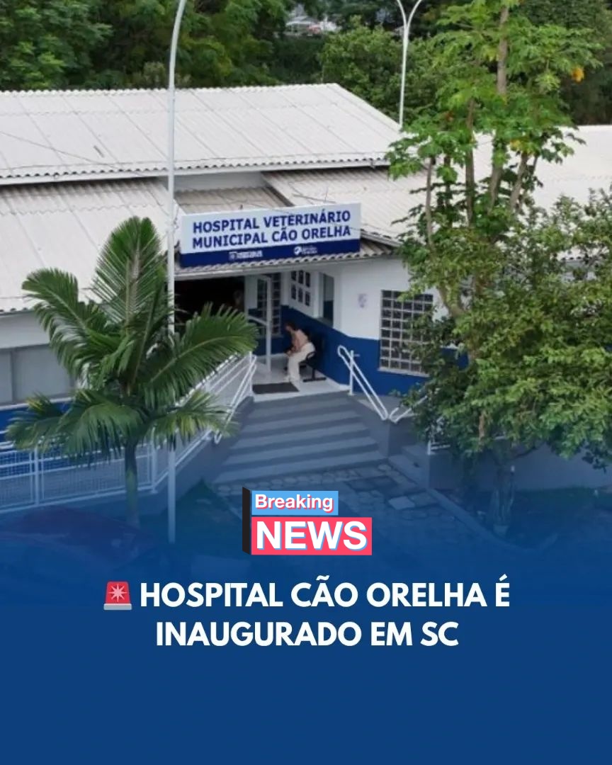 iti malias tweet media