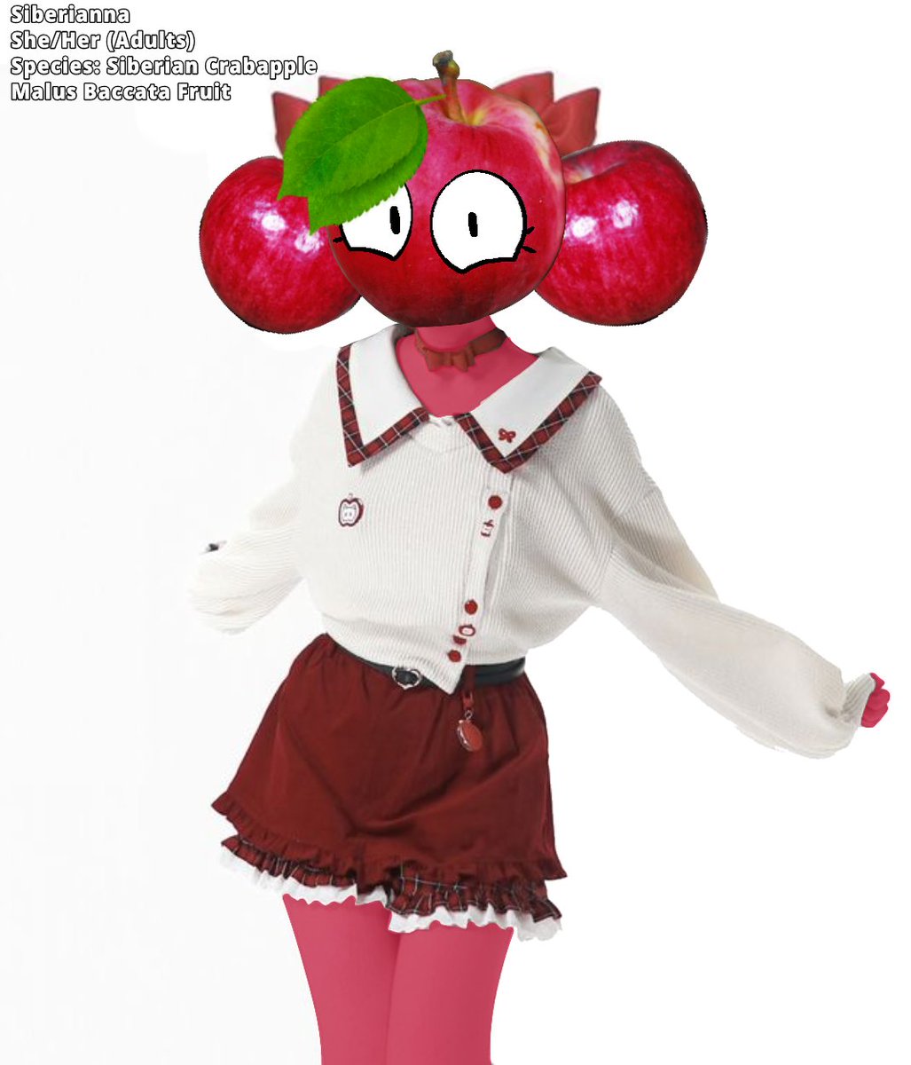 ᓚᘏᗢ ˚ ・。꒰☕︎꒱ tweet media