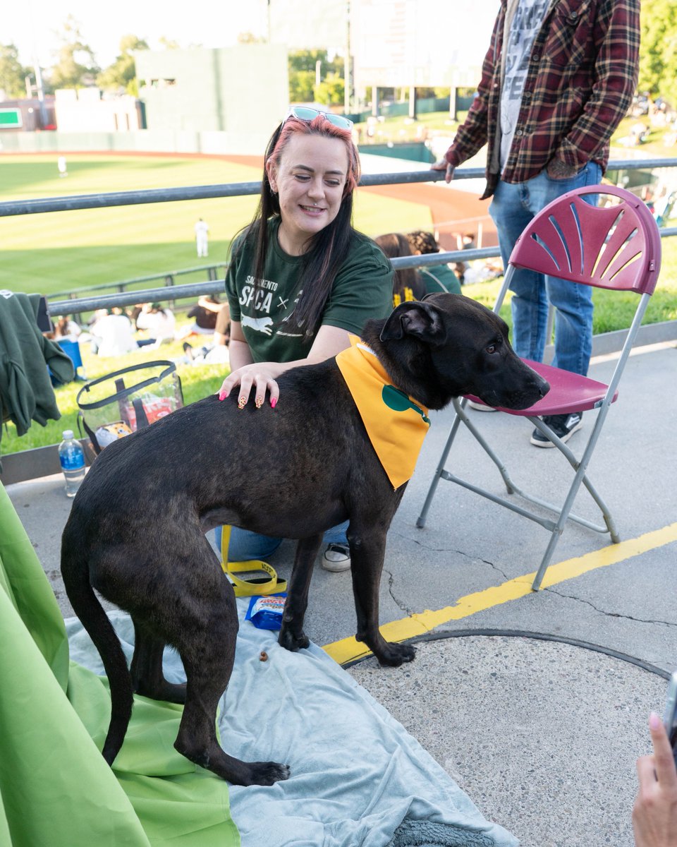 Athletics tweet media