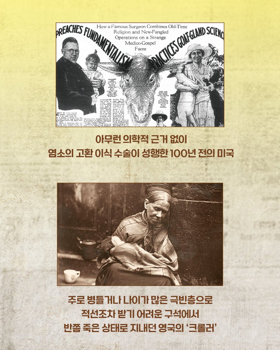 빅피시 출판사 tweet media