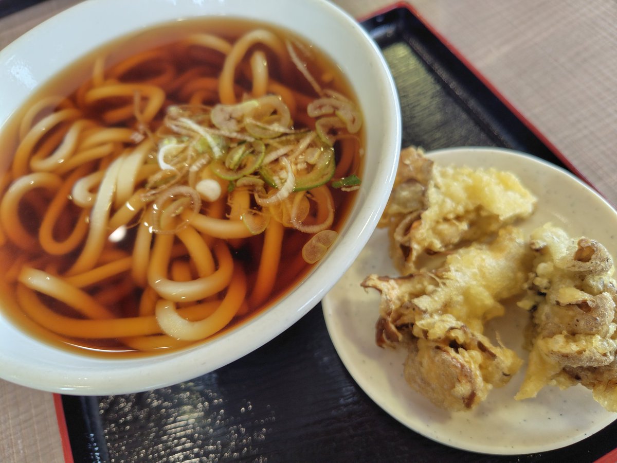 chie_hirata's tweet photo. 松本へ向かっています。
お決まりの舞茸うどん旨し。 https://t.co/iTt9yCnja8