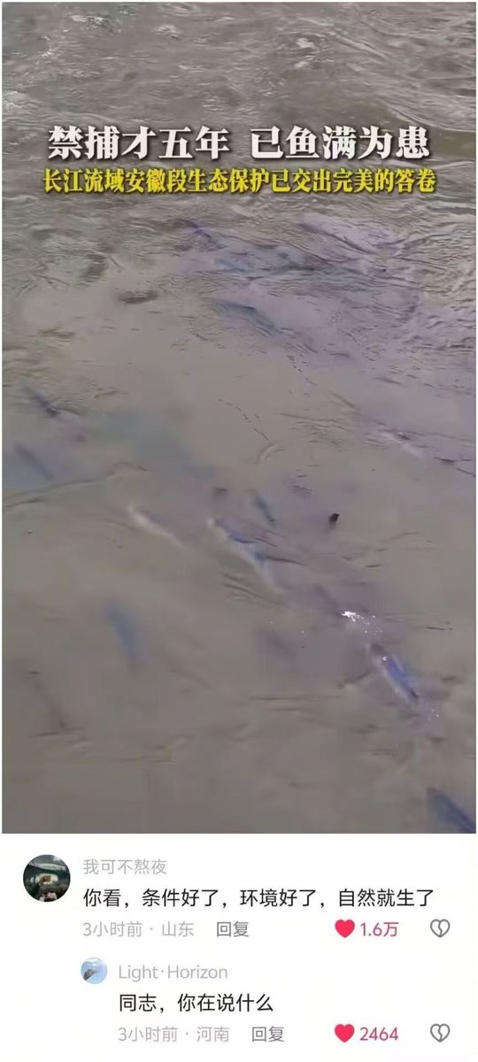 A股证券交易员 tweet media