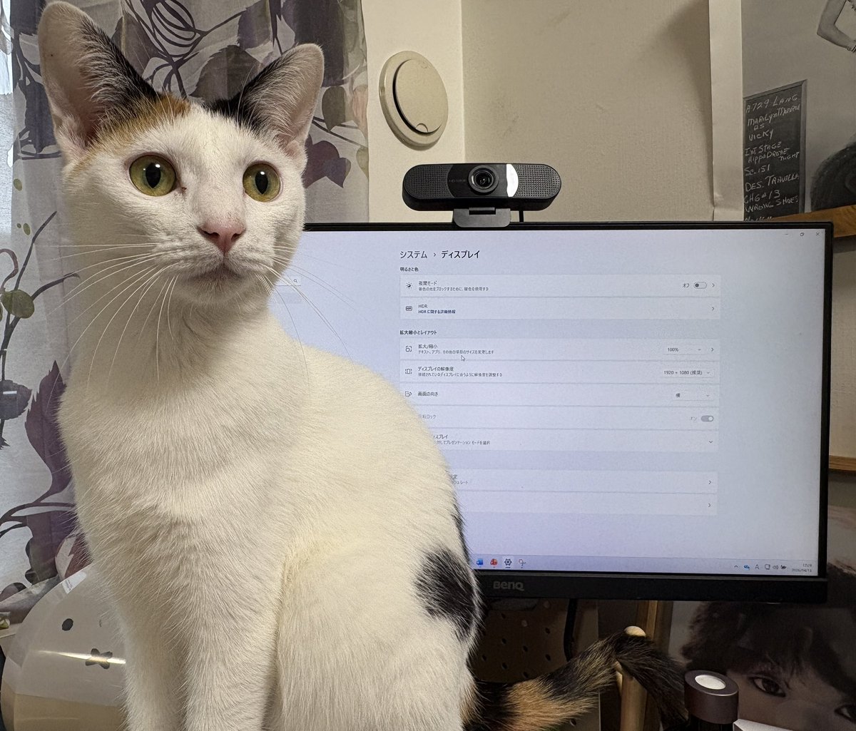 みるく✨美活垢 tweet media