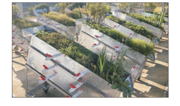 River Inception Device In Huaihe River Plain of China’s Anhui Province, vegetation ...